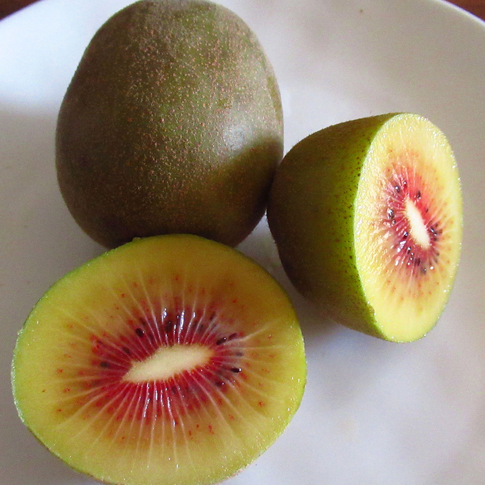 Red Fleshed Kiwifruit